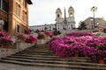 Bottom view of stairway of TrinitÃÂ  dei Monti